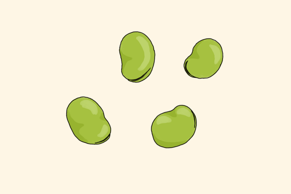 そら豆