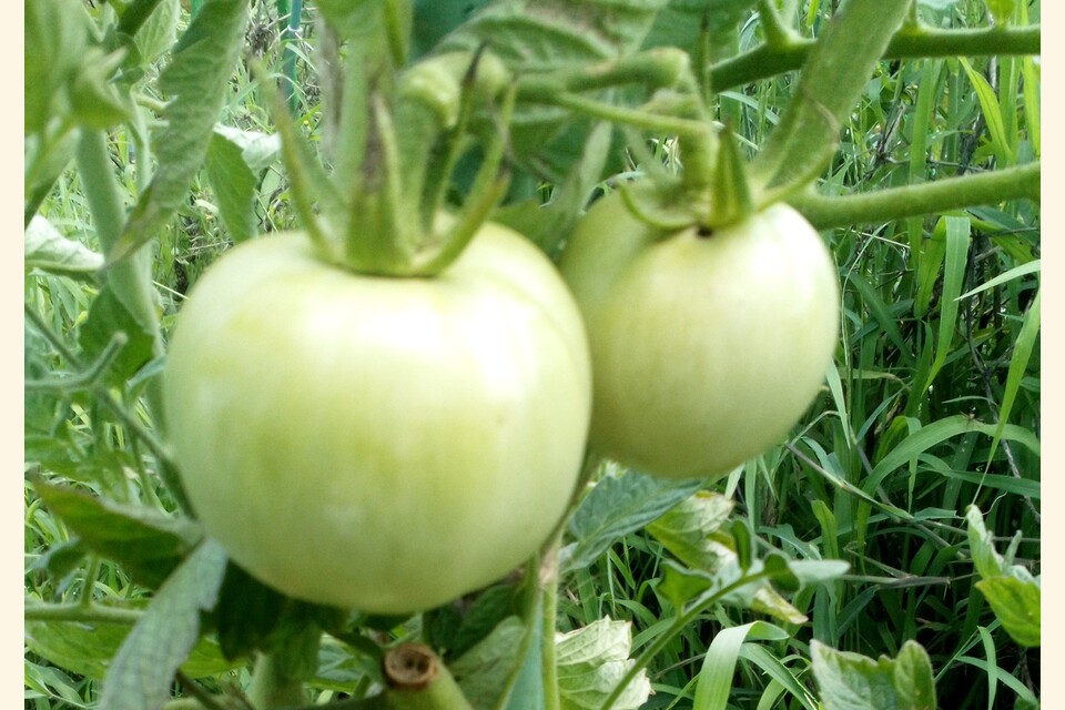 KIMG0152