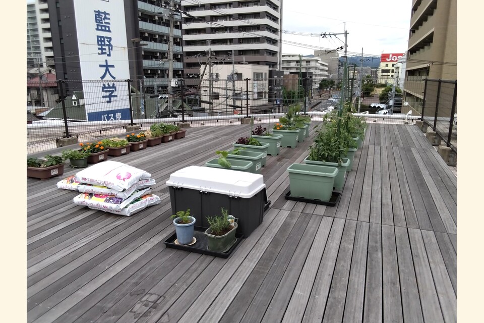 shared image (14)