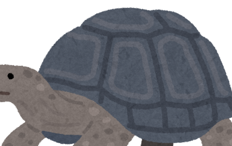 turtle_kame_zougame